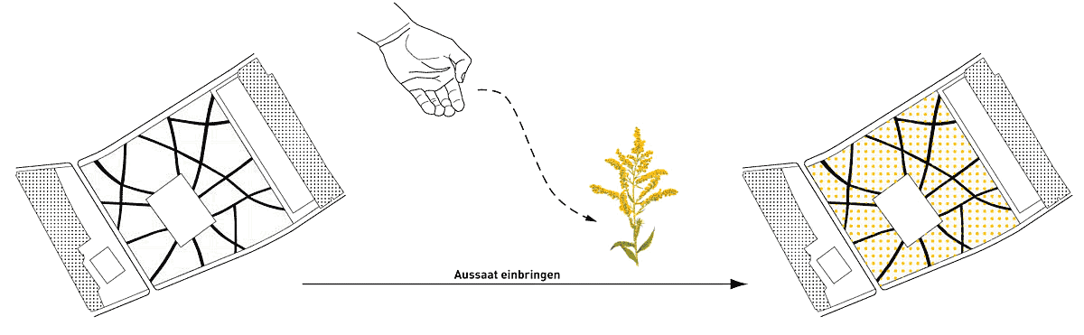 SSG Schlossareal Berlin Diagramm02